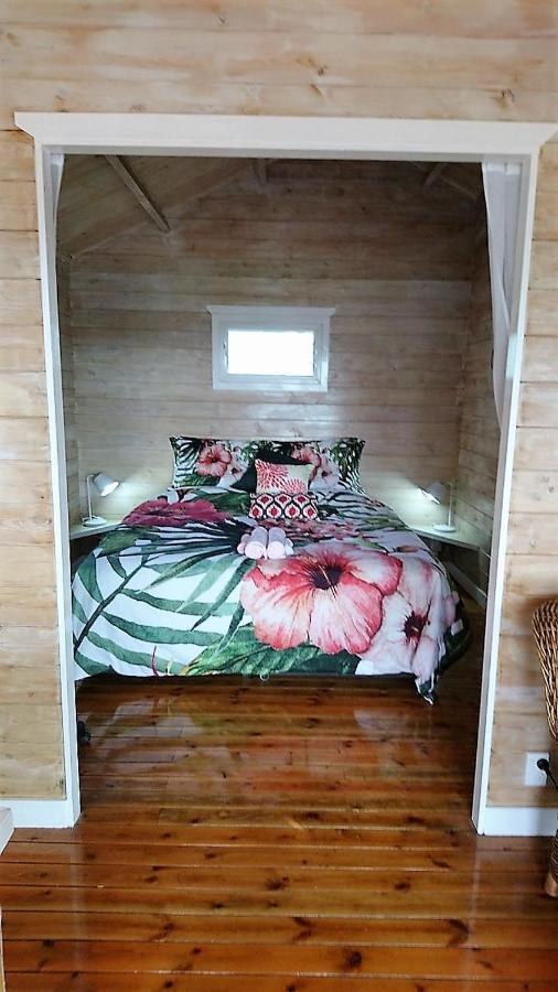 Red Hibiscus Villas Rarotonga Extérieur photo